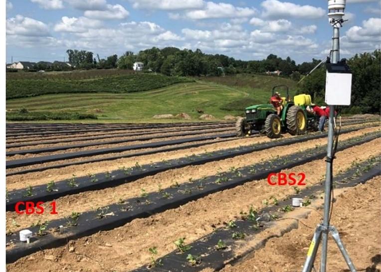 strawberry field trials with sensor station