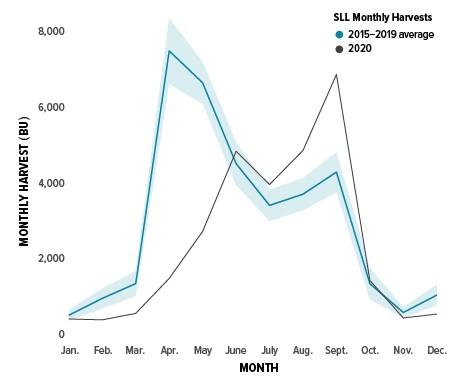 Line graph - Maryland monthly oyster aquaculture harvest