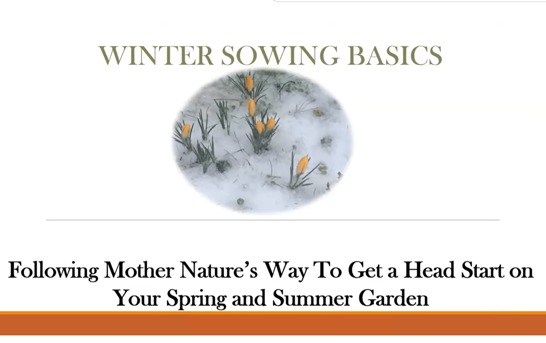 winter-sowing-basics following mother natures way to start your garden