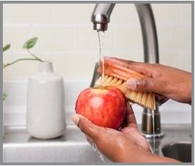 A whole apple being rinsed and scrubbed under running water. Scrubbing can be with a produce brush or by clean hands.