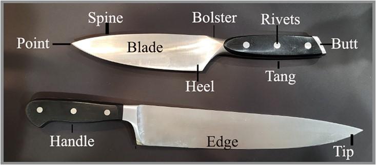 Anatomy of a chef’s knife. An 8” and 10” are being displayed. Food is cut along the edge of the knife and the point can be used too for food preparation too.