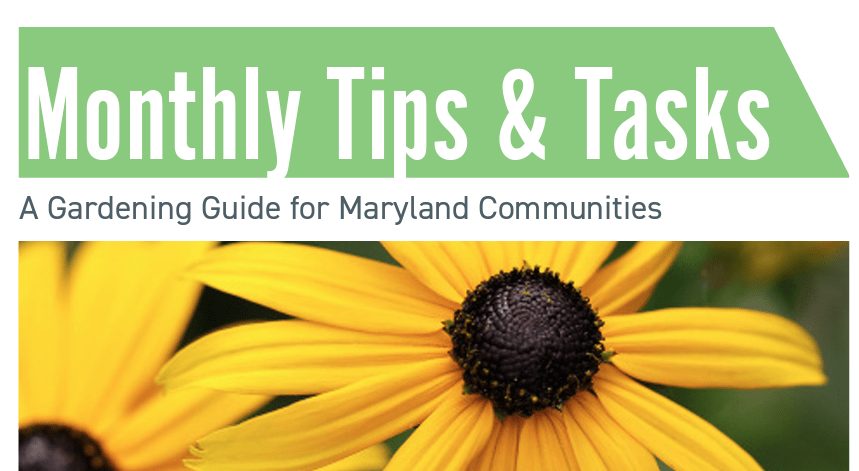 Monthly tips and tasks a gardening guide for Maryland communities