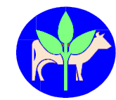 beef cattle and plant