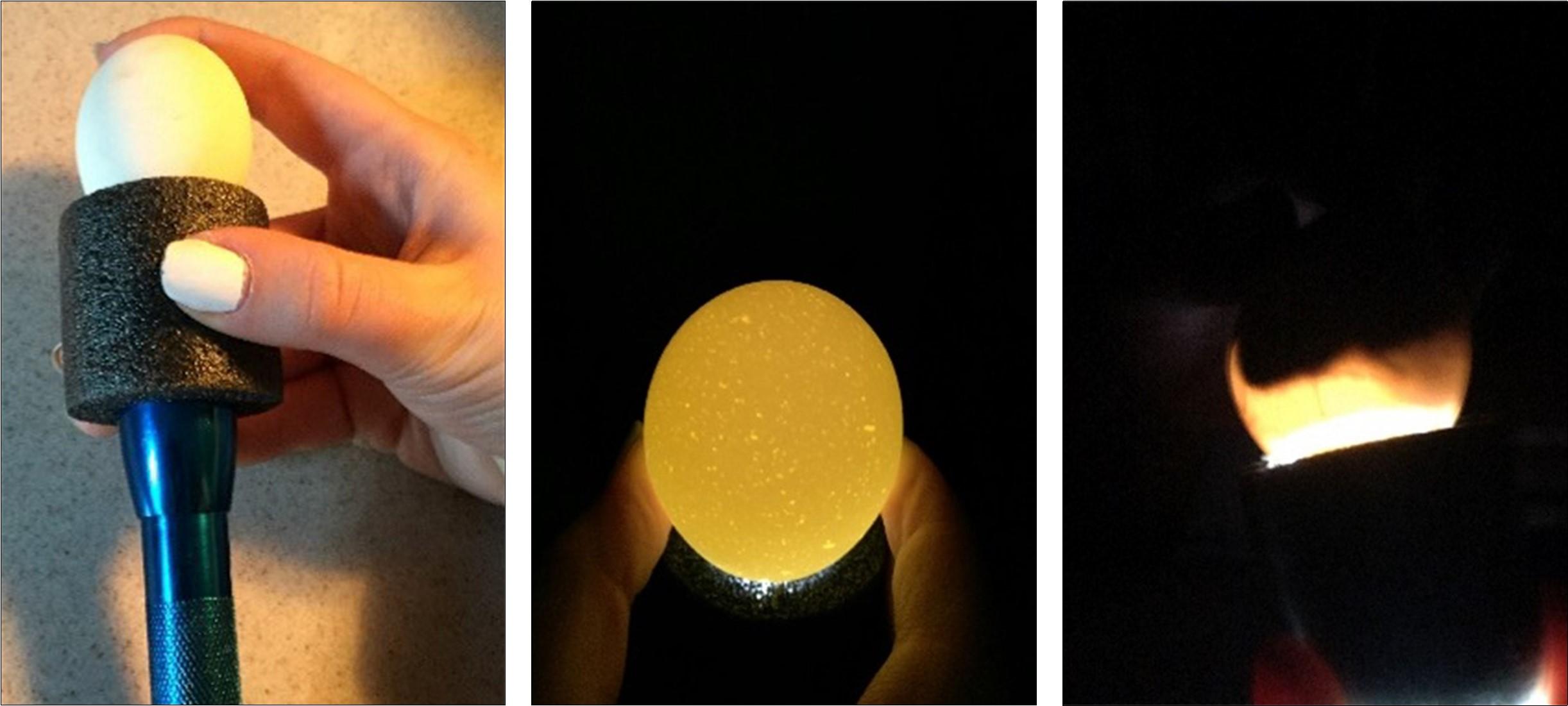 Candle eggs using a pen light