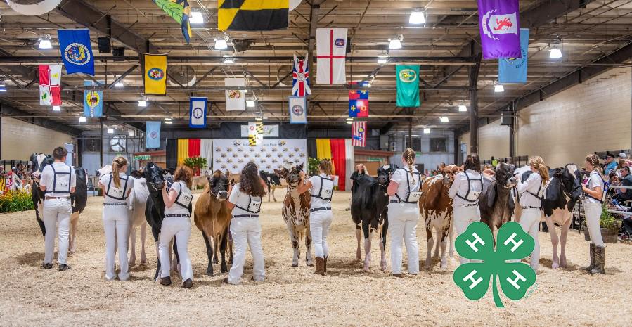 4-H State wide events