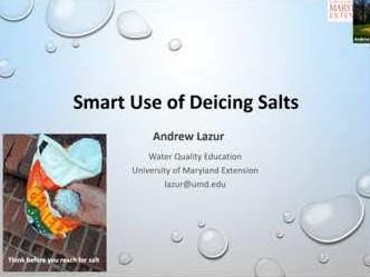 Smart Use of Deicing Salts