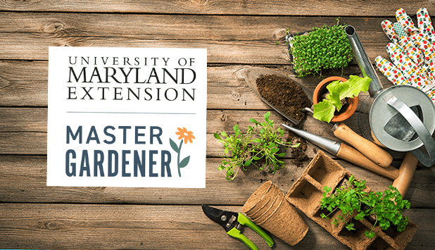 Baltimore County Master Gardeners