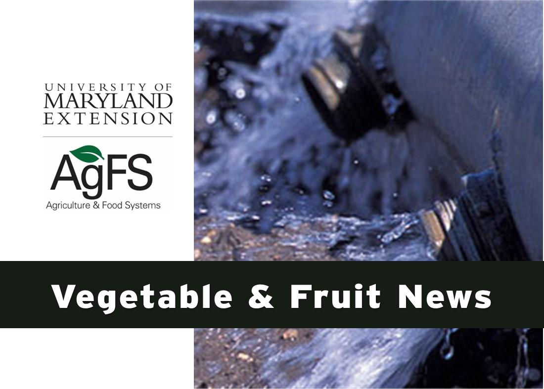 Vegetable & Fruit News Winter Cover