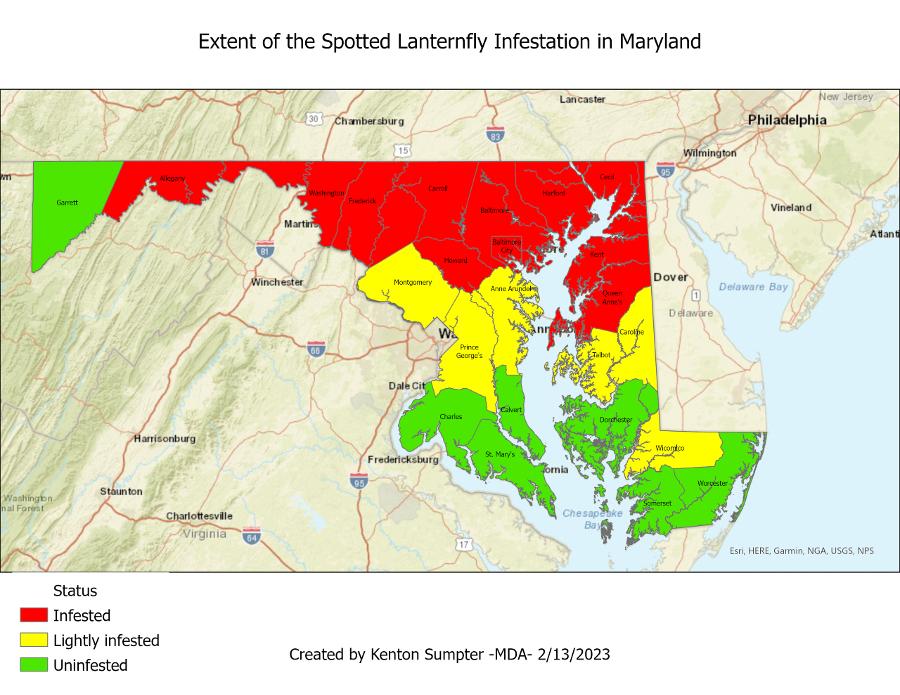 map showing locations of spotted lanternfly in Maryland