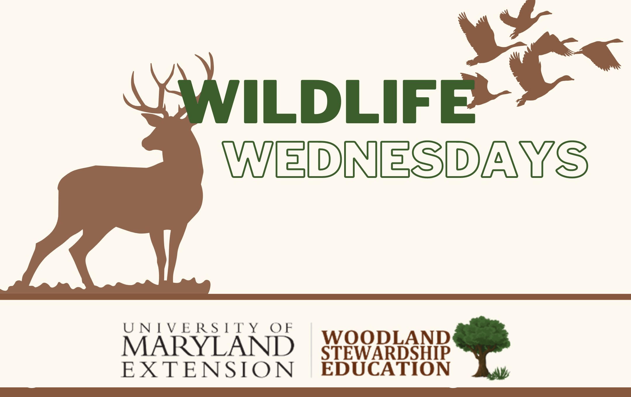 Wildlife Wednesdays webinar series logo