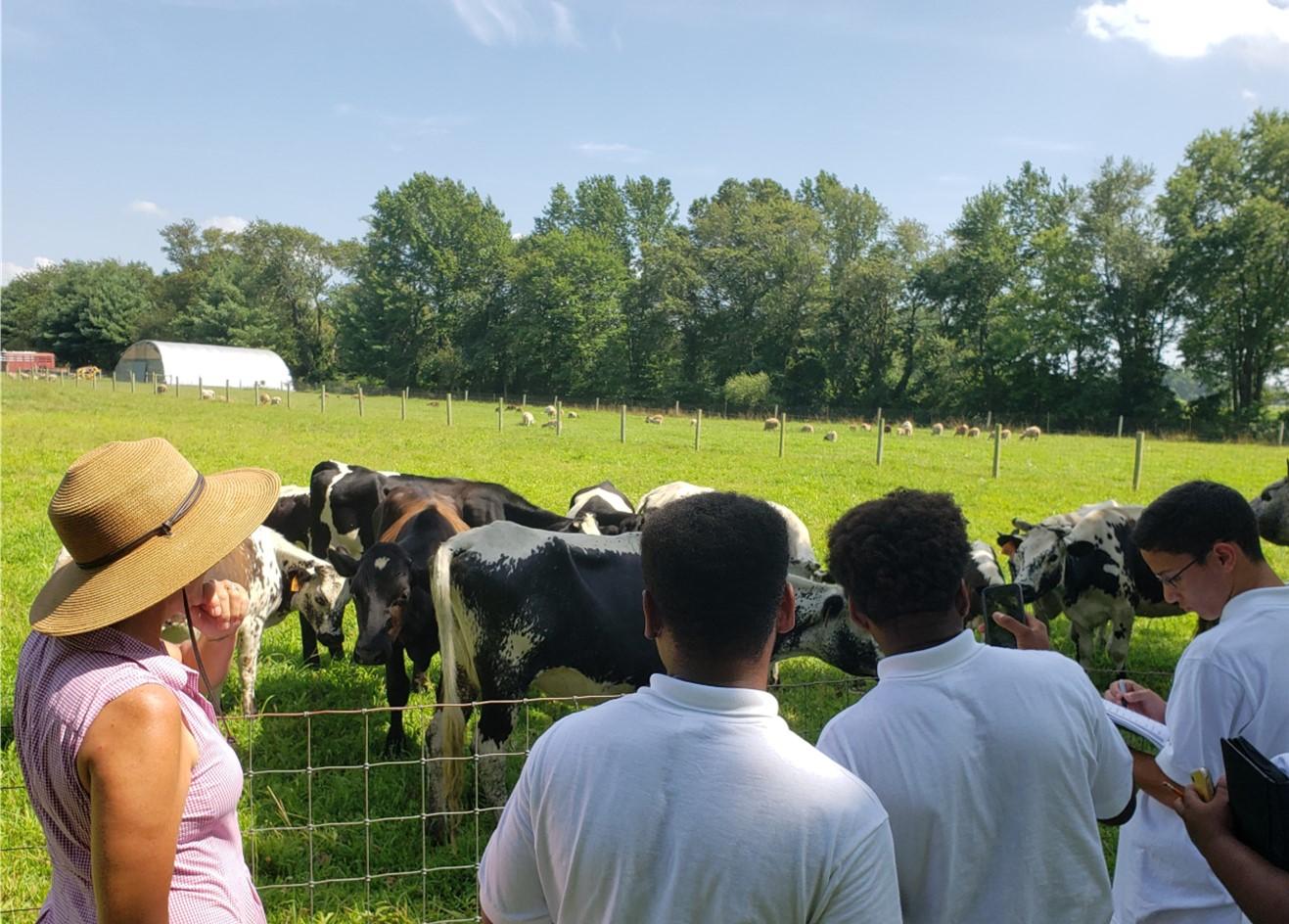  4-H Adult Volunteer and Youth Evaluating Dairy Cattle - 4-H volunteers arrange field trips like this trip to a local dairy farm. Youth can learn about careers and explore interests for careers they one day might like to pursue. 