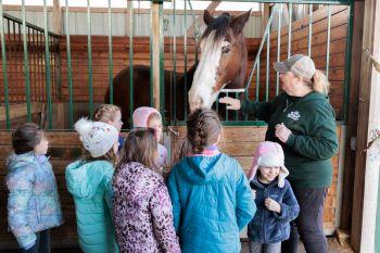 Stable Mates 4-H Club meeting a horse