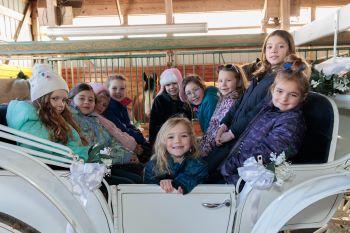 Stable Mates Club in a carriage 