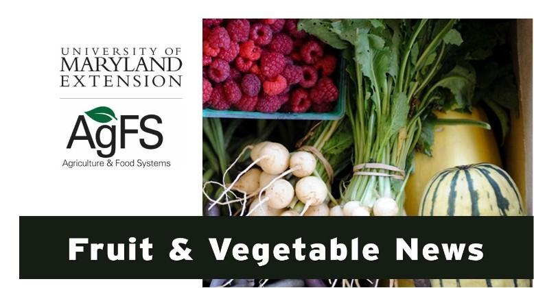 Fruit & Vegetable News Image