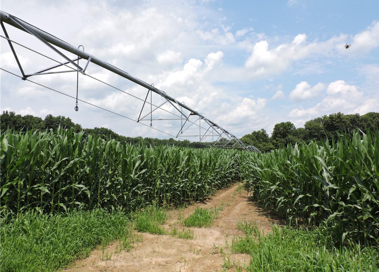 irrigation sprayers over crop field