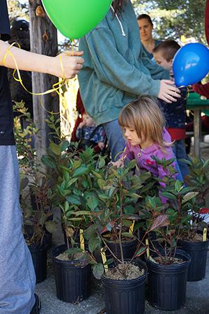 Charles County plant giveaway