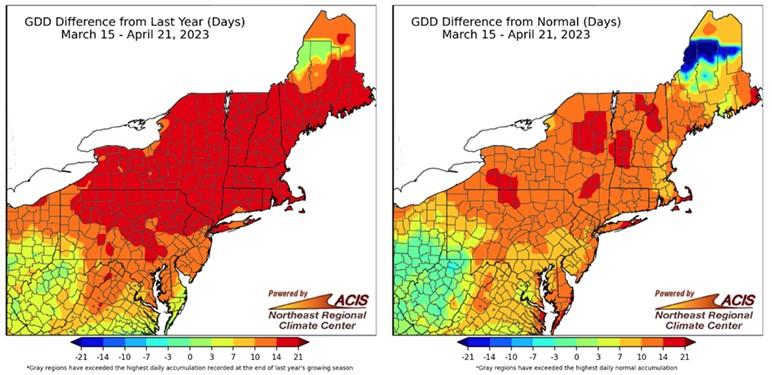 Up And Down: Maryland Weather At Its Finest | University Of Maryland ...