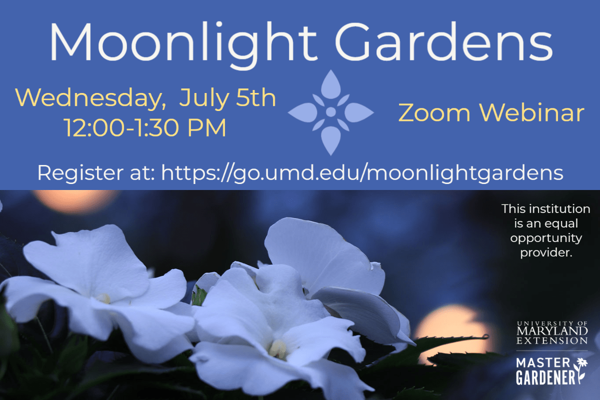 Moonlight Gardens webinar registration