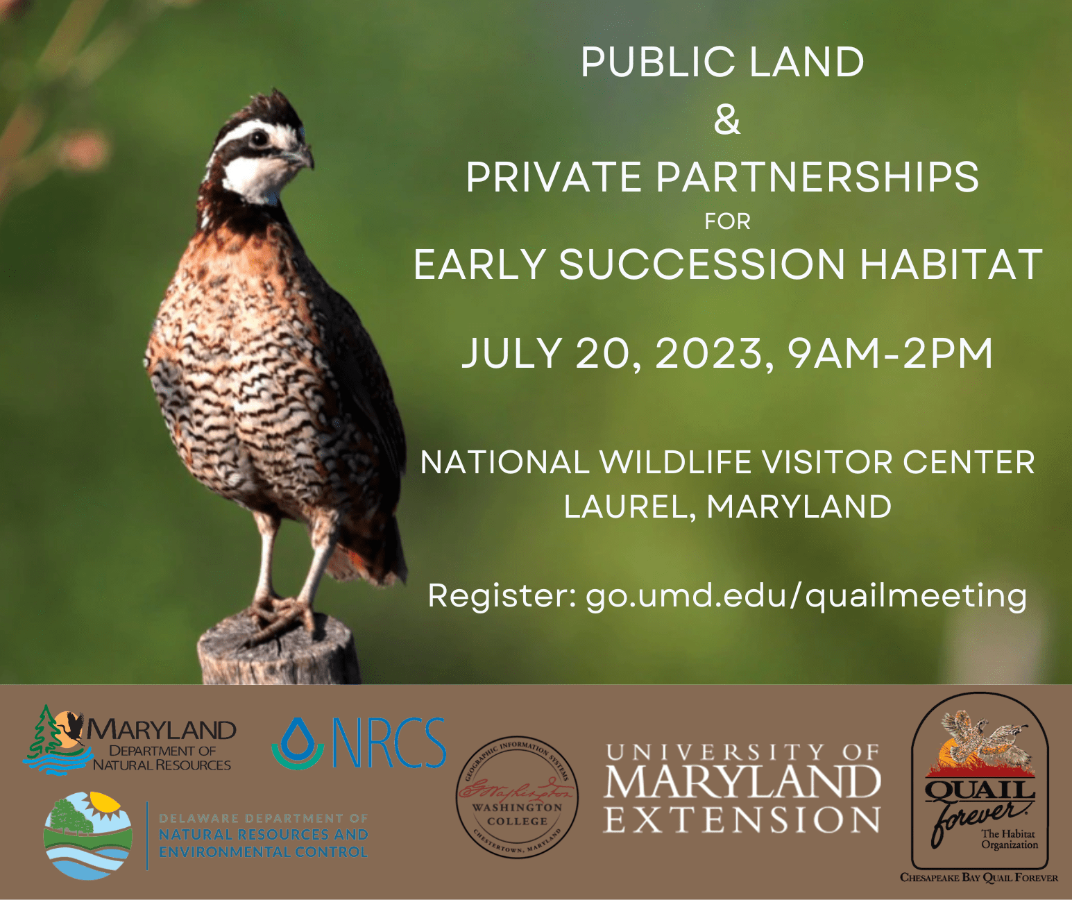2023 Early Succession Habitat Meeting July 20 2023 flyer