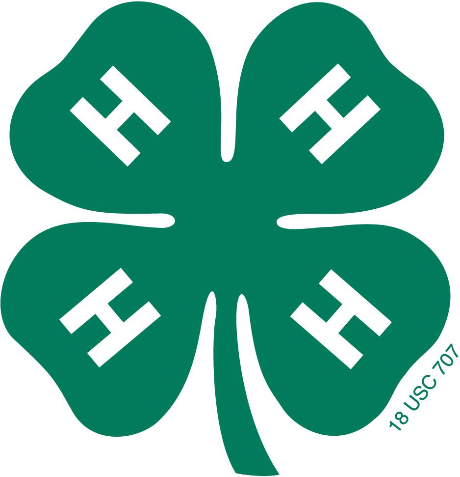 4H Youth