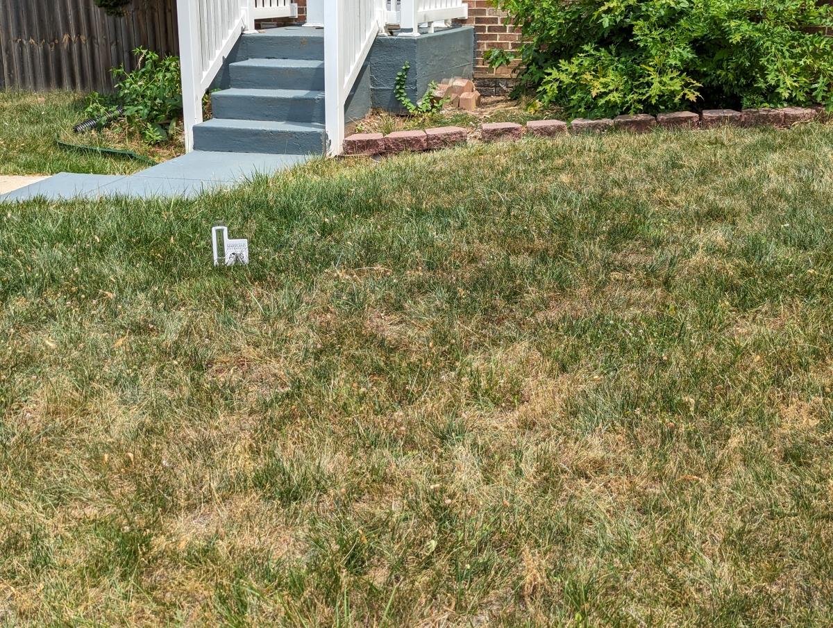 lawn turning brown - drought stressed lawn