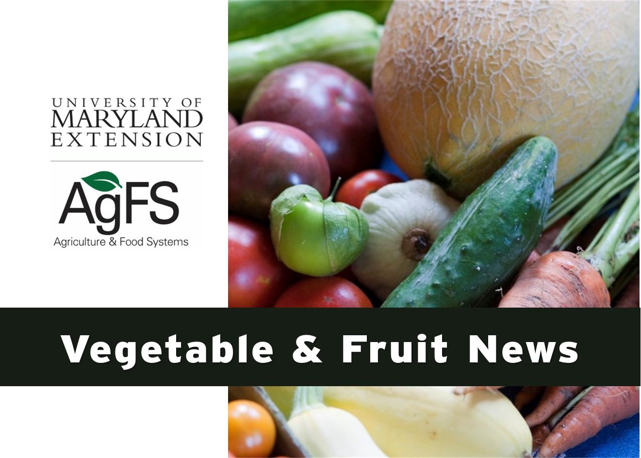 Fruit and Vegetable newsletter header