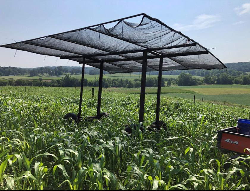 portable shade structure in rotational grazing system.