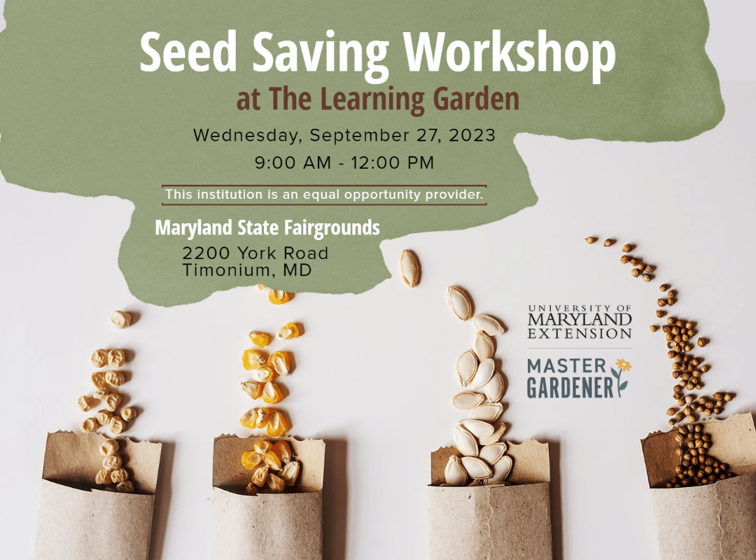 seed saving workshop flyer