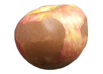 Honey crisp apple with soft scald symptoms