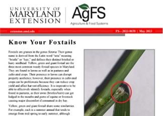 Image of publication "Know your Foxtails"