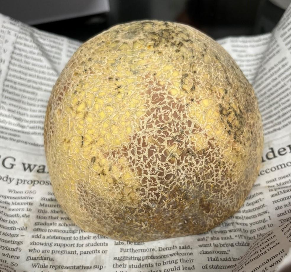 Cantaloupe with dark areas on outside surface