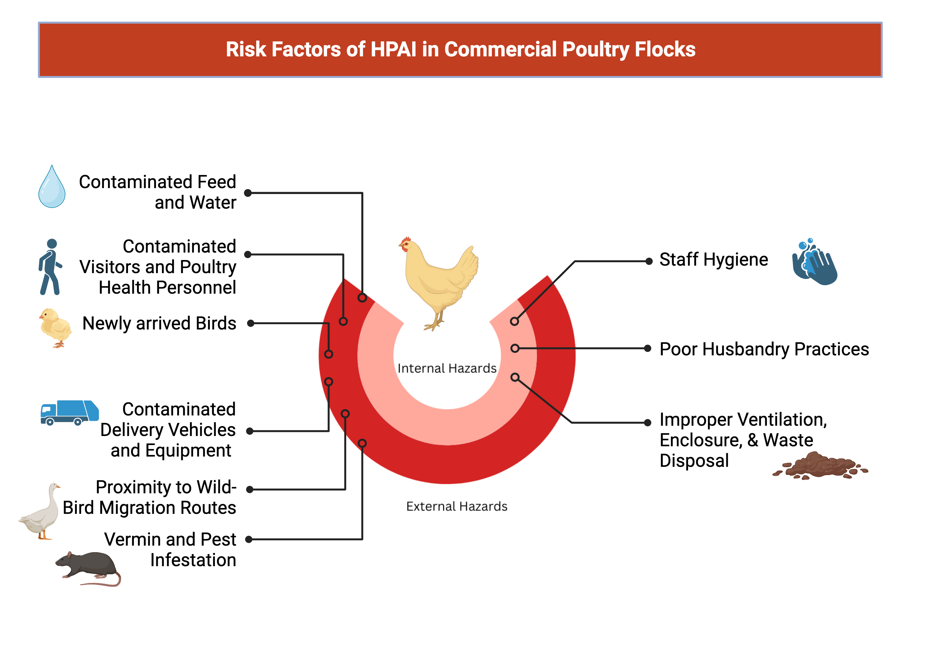 Risk factors of HPAI