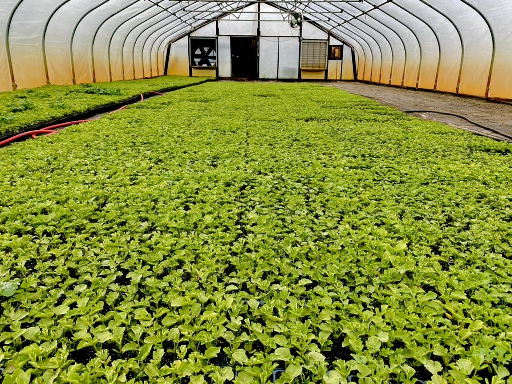 Agriculture, Farming