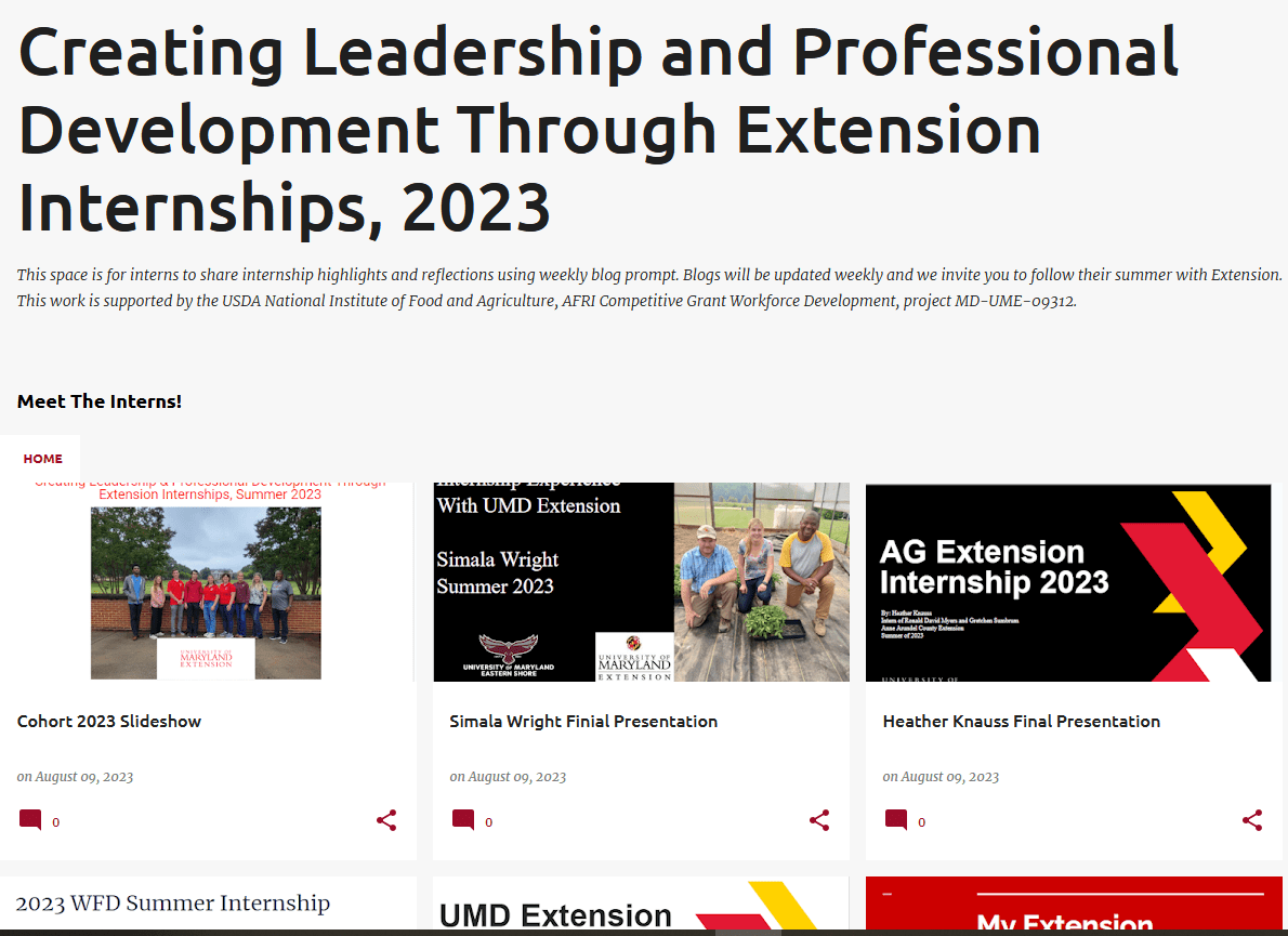 Screenshot of 2023 internship blog page