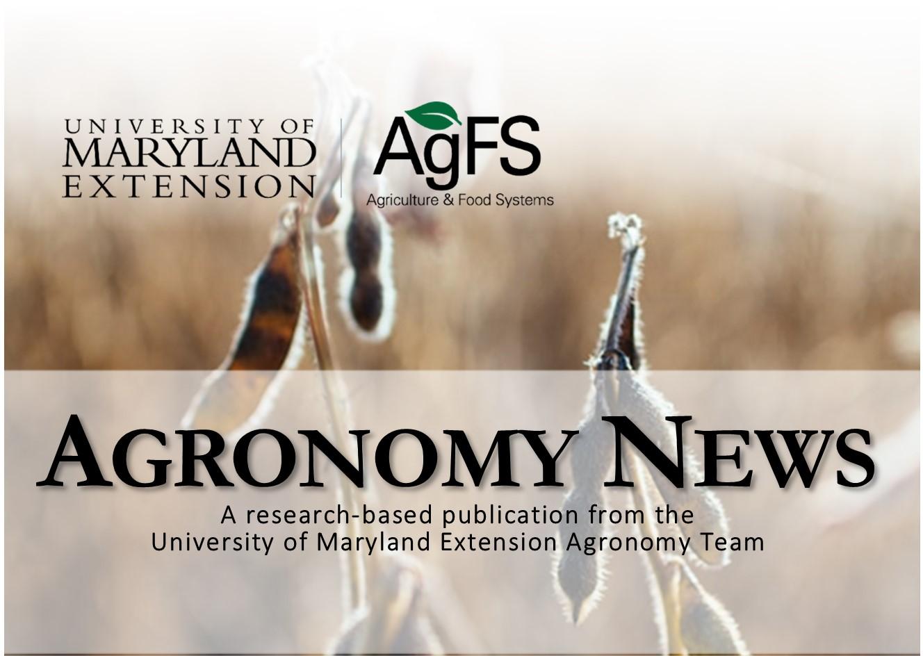 Agronomy News October Cover Image-Soybeans