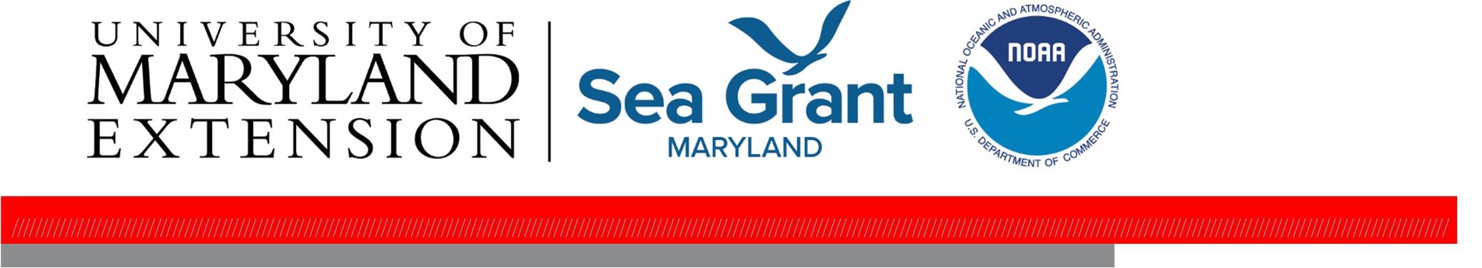 Publication header with logo containing UME, Sea Grant Maryland, and NOAA.