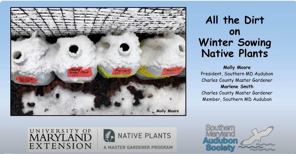 Winter Sowing, Native Plants
