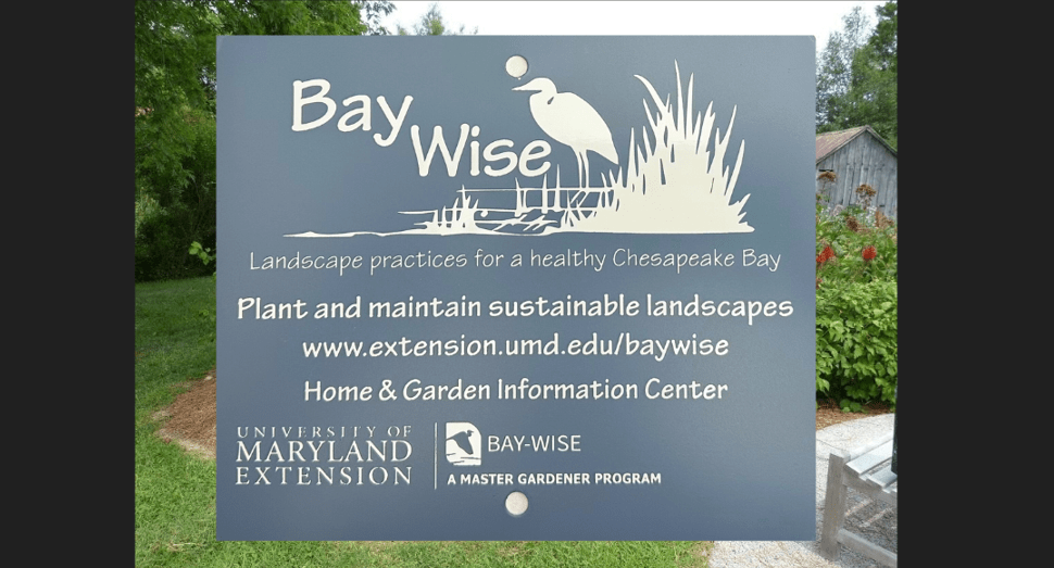 Bay-Wise sign with Calvert Marine Museum rain garden as background