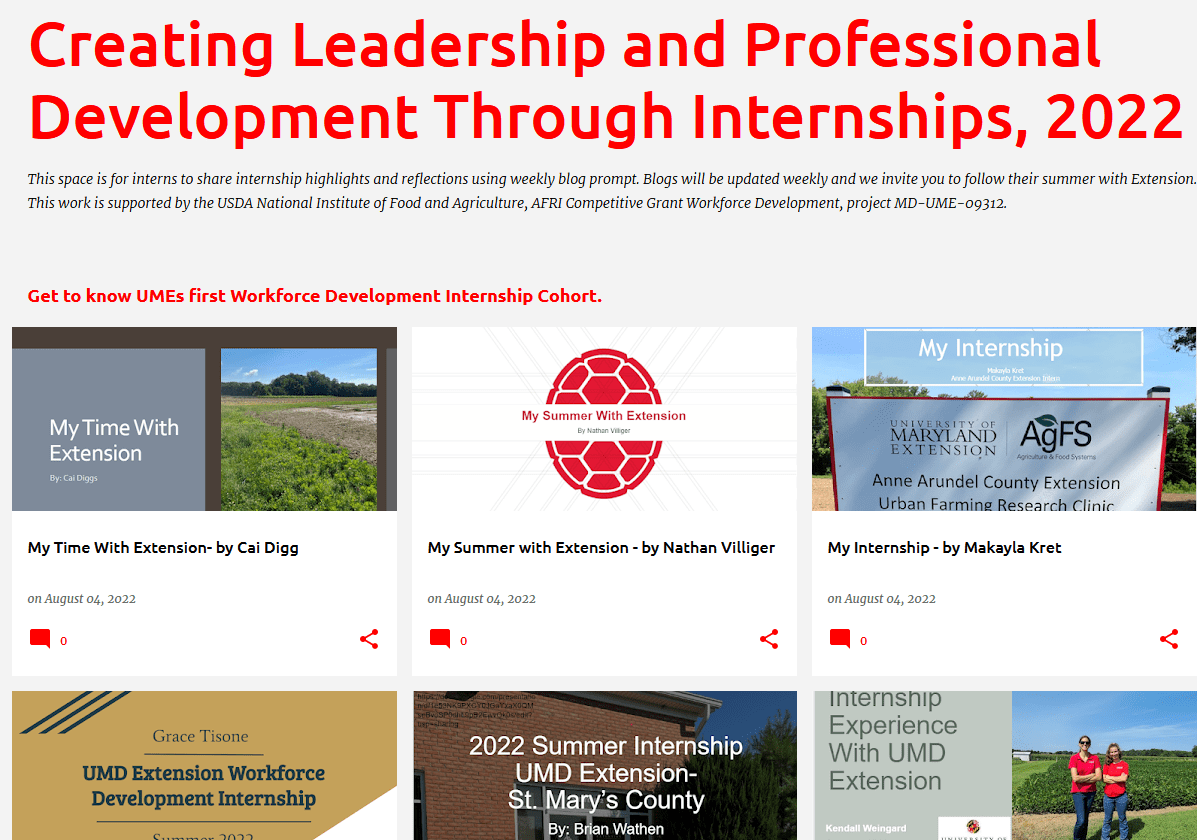 screenshot of the 2022 intern blog web page