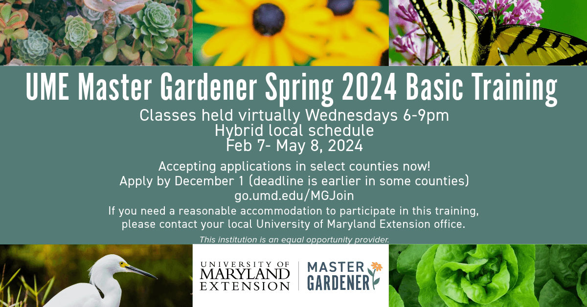 Master Gardener Spring 2024 Details