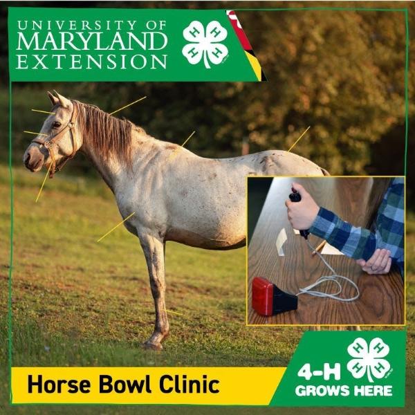 2023 Maryland 4-H Horse Bowl Clinic Flyer