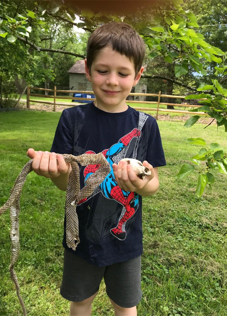A boy holding a snake skin and animal skeletal remains