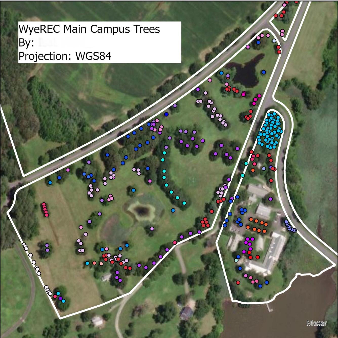 GPS plots of trees at Wye Research & Education Center
