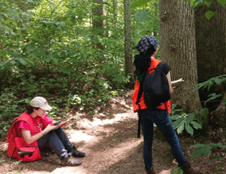 Wye REC interns learning tree ID and other skills