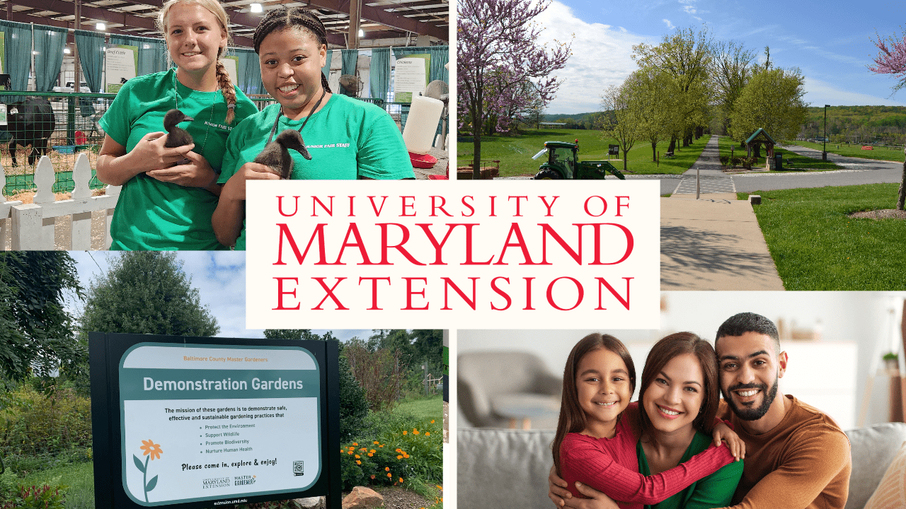 Baltimore County Extension