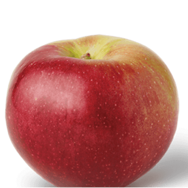Macoun apple skin is deep red over a green base.