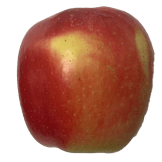 Ambrosia apple has skin that is bi-colored, with a combination of red and yellow hues.
