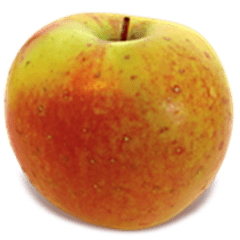 Gold Rush apple is a beautiful golden color with a bronze to red blush.