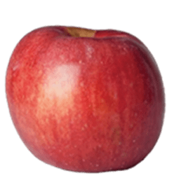 York apple with deep red with greenish-yellow streaks on skin.