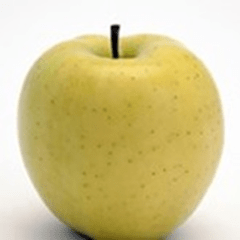 Golden Delicious apple skin color ranges from pale green to golden yellow.